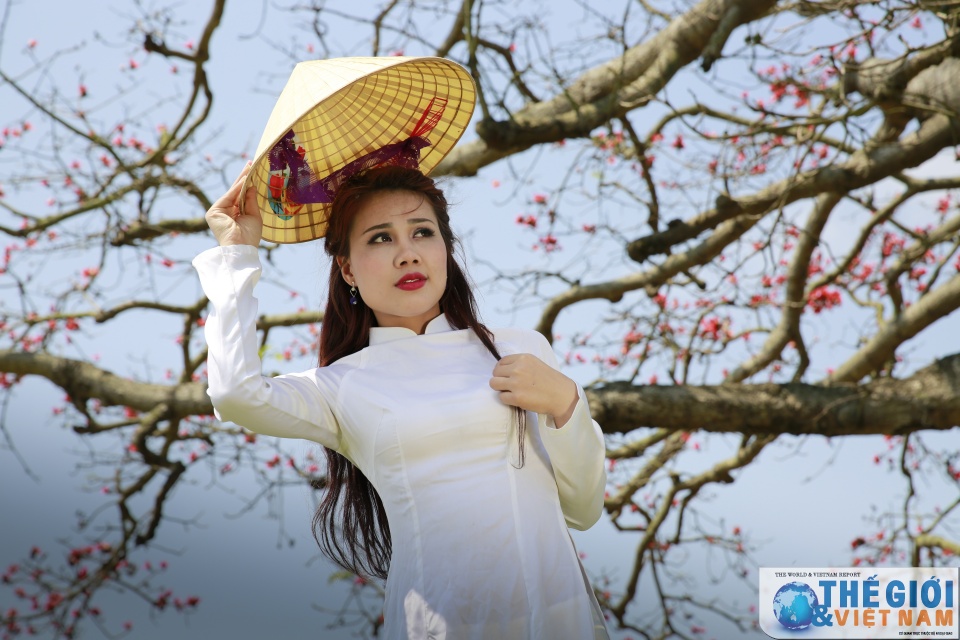 mua hoa gao thap lua do troi que bac bo