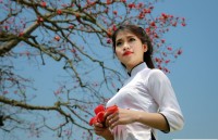 nao nuc mua sen tay ho ha noi