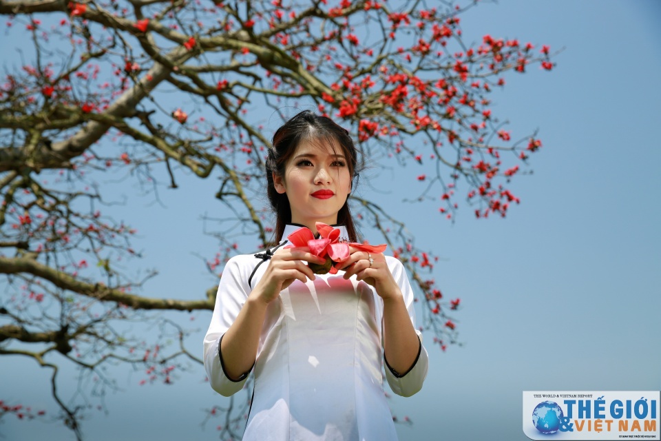 mua hoa gao thap lua do troi que bac bo