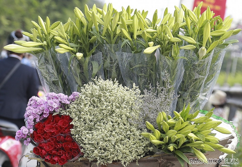 Hoa loa kèn - khúc giao mùa từ Xuân sang Hạ Hoa loa kèn - khúc giao mùa từ Xuân sang Hạ