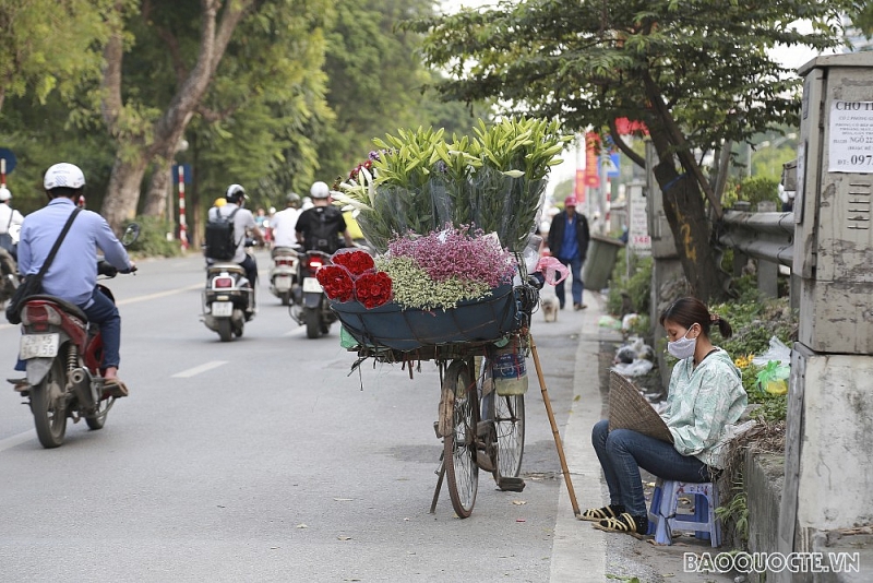 Hoa loa kèn - khúc giao mùa từ Xuân sang Hạ Hoa loa kèn - khúc giao mùa từ Xuân sang Hạ