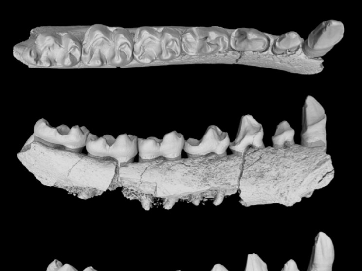 Biến đổi khí hậu đã xảy ra từ thời cổ đại