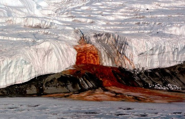 Giải mã bí ẩn "Thác máu" tại Nam Cực