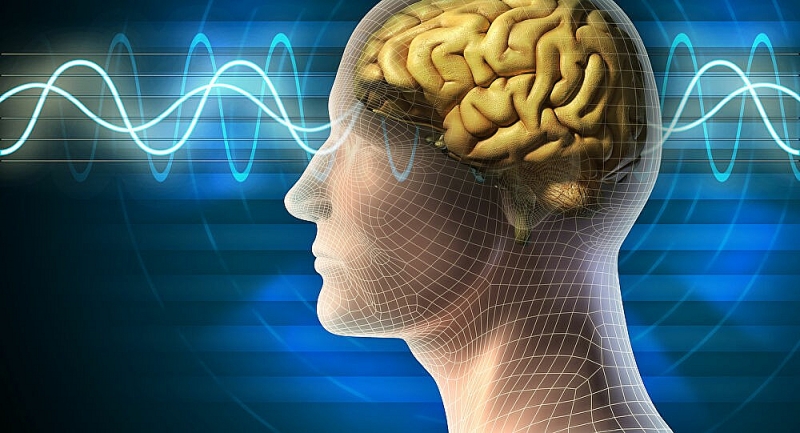 Bảy phương pháp giúp não chậm lão hóa