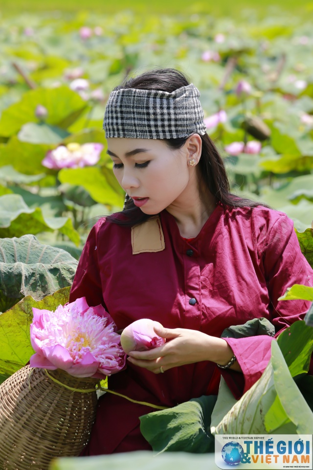 Có một Hà Nội rộn ràng mùa sen co mot ha noi ron rang mua sen