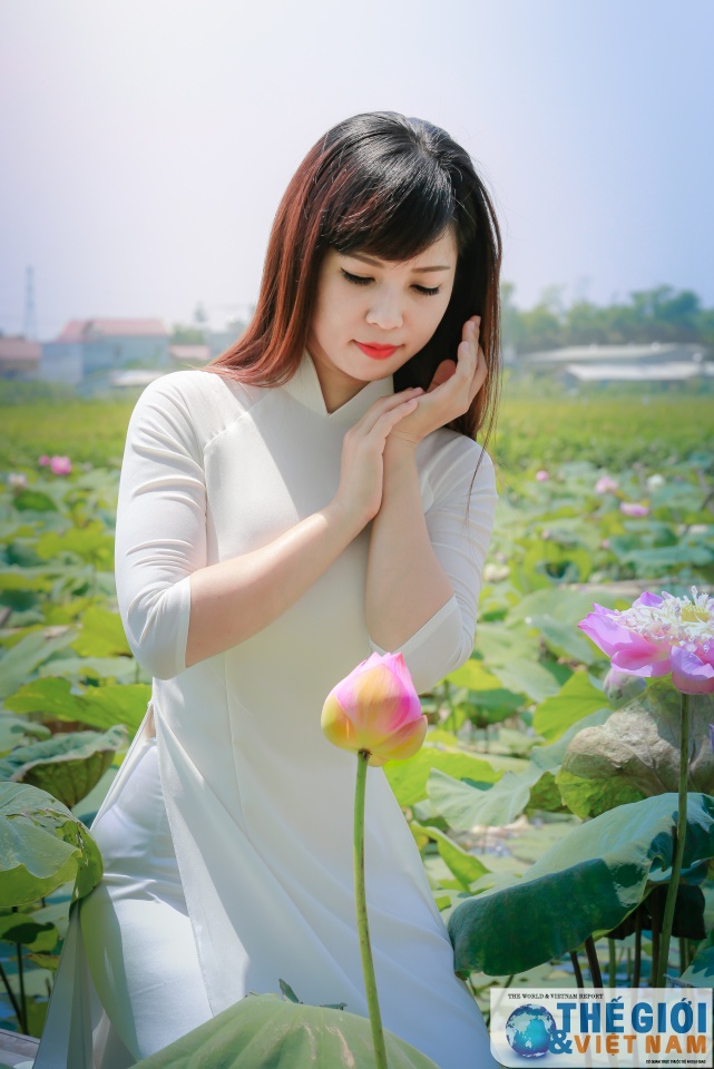 Có một Hà Nội rộn ràng mùa sen co mot ha noi ron rang mua sen