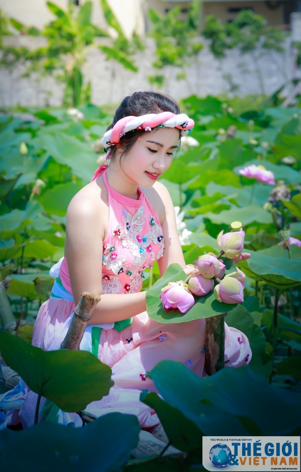 Có một Hà Nội rộn ràng mùa sen co mot ha noi ron rang mua sen