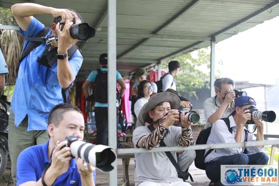 Hà Nội - náo nức mùa sen Tây Hồ nao nuc mua sen tay ho ha noi