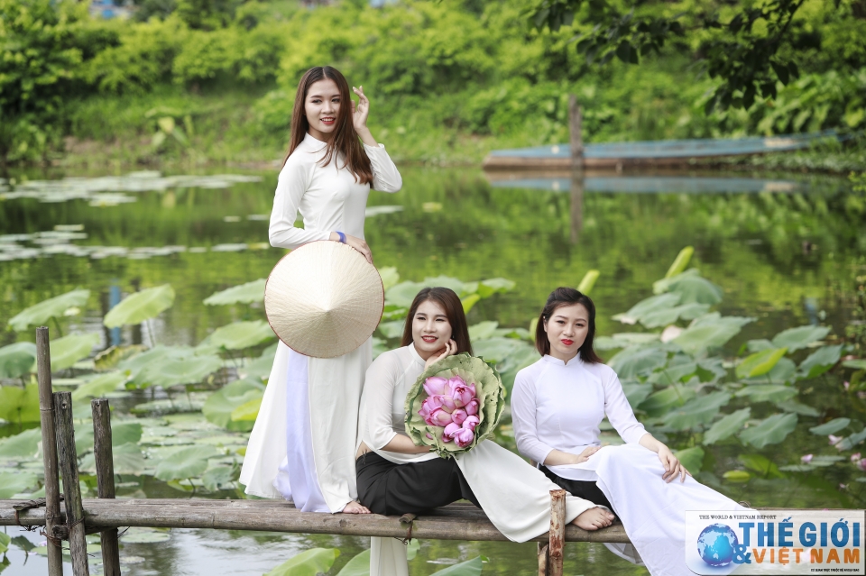 Hà Nội - náo nức mùa sen Tây Hồ nao nuc mua sen tay ho ha noi