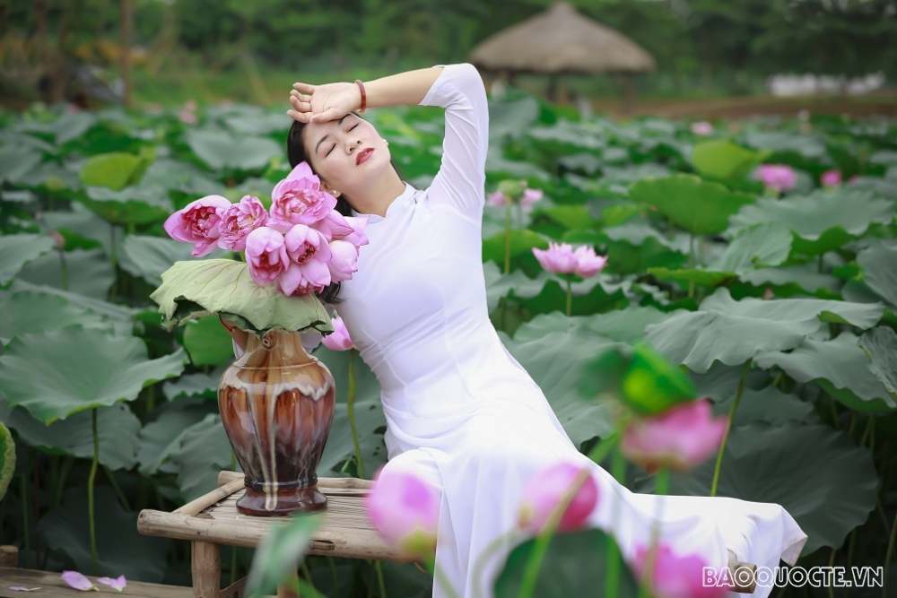 ‘Thiên đường của các loài sen’ ở Thủ đô