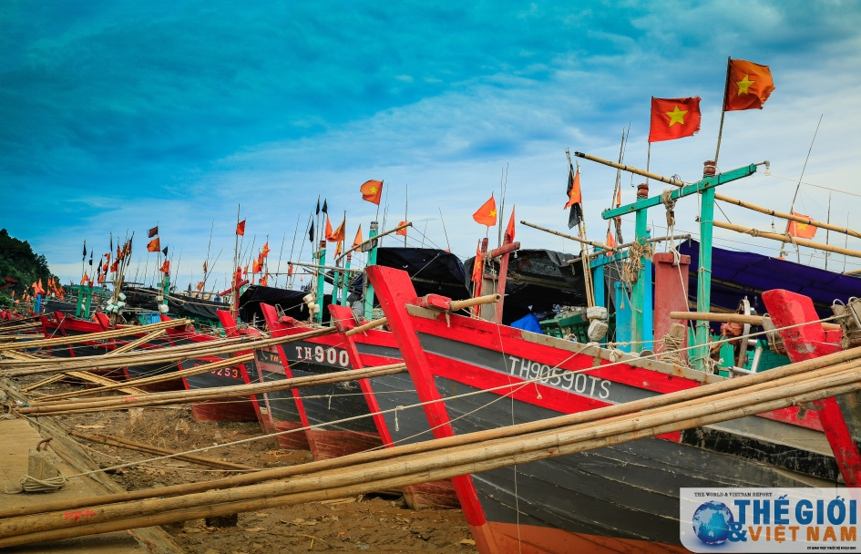 Hải Tiến, mặn mà một miền quê