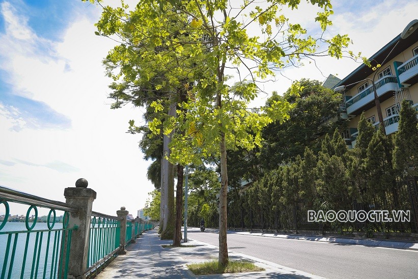 Đường phố Thủ đô rực rỡ những màu hoa mùa Hạ