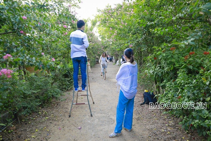 Đường phố Thủ đô rực rỡ những màu hoa mùa Hạ