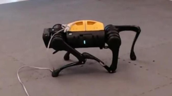 Robot Mỹ đã tự học được cách đi lại
