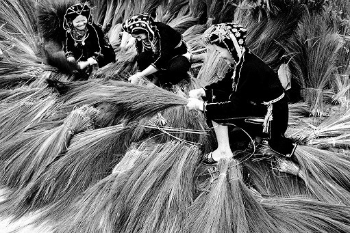 Nữ NSNA Tuyết Minh ra mắt bút ký-tiểu luận Những chặng đường