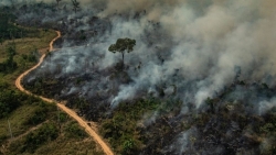 Hành tinh như một 'thùng thuốc nổ', các nhà khoa học cảnh báo về thảm họa đang tới với Trái đất