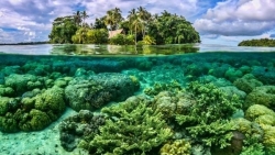 Để cứu san hô, Thái Lan cấm sử dụng kem chống nắng