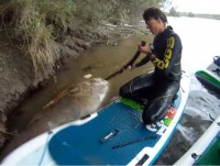 my lan dau tien phat hien xac ca mat troi sieu hiem