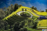 Hoàng Su Phì đẹp mê hồn trong mùa lúa chín