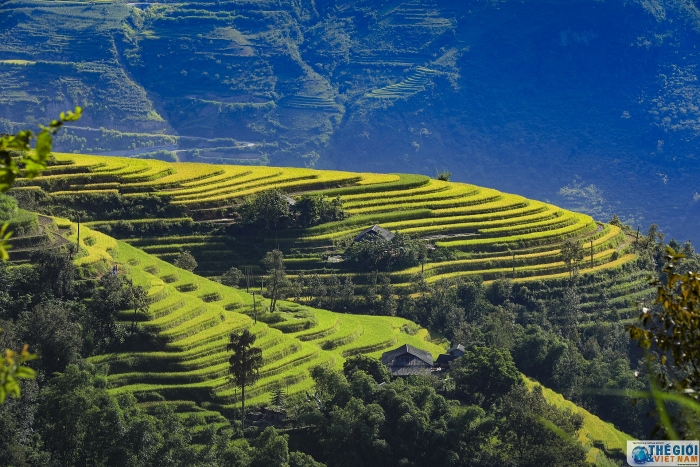 hoang su phi dep me hon trong mua lua chin