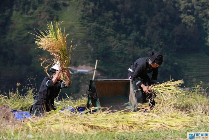 hoang su phi dep me hon trong mua lua chin