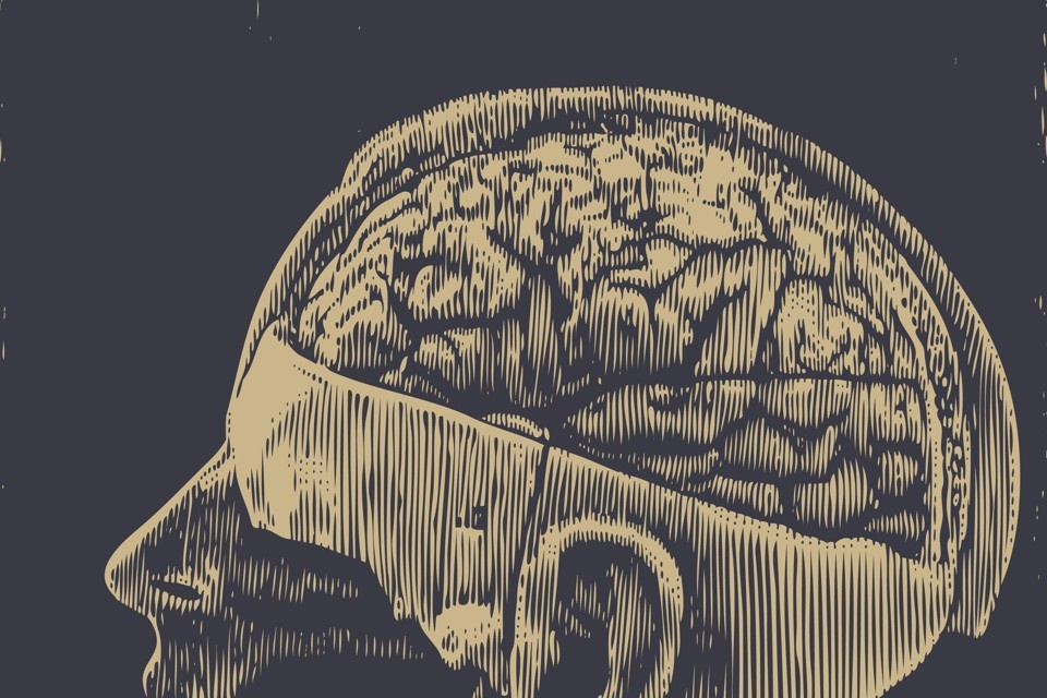 Nghiên cứu phát triển bộ nhớ nhân tạo