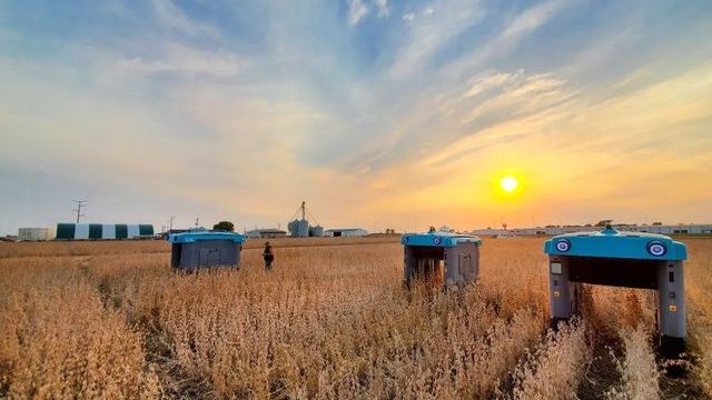 Google phát triển robot nông nghiệp 'siêu thông minh'