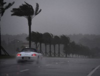 bien doi khi hau tao ra nhung voi rong nguy hiem