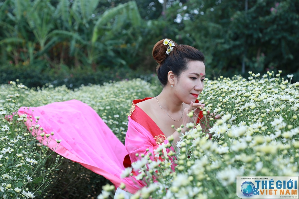 doc dao mua cuc hoa mi ha noi