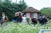 nao nuc mua sen tay ho ha noi