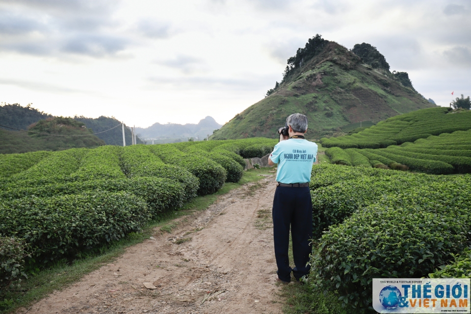 Đồi chè Trái tim Mộc Châu - đã đến là khó quên doi che trai tim moc chau da den la kho quen