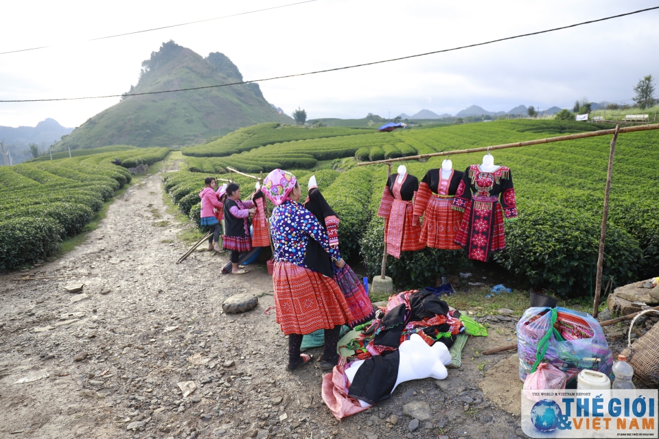 Đồi chè Trái tim Mộc Châu - đã đến là khó quên doi che trai tim moc chau da den la kho quen