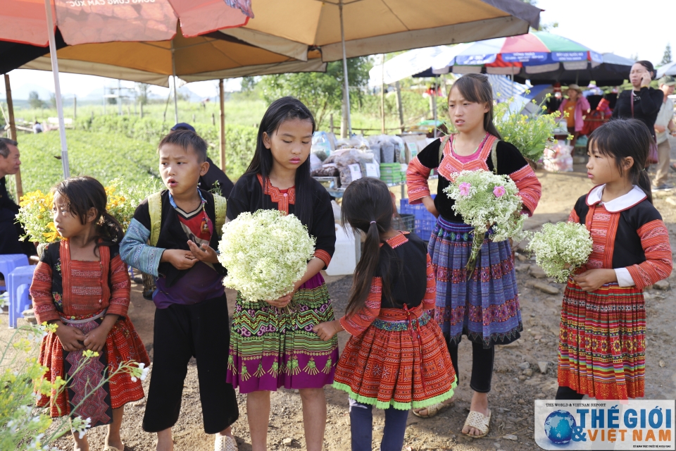 Đồi chè Trái tim Mộc Châu - đã đến là khó quên doi che trai tim moc chau da den la kho quen