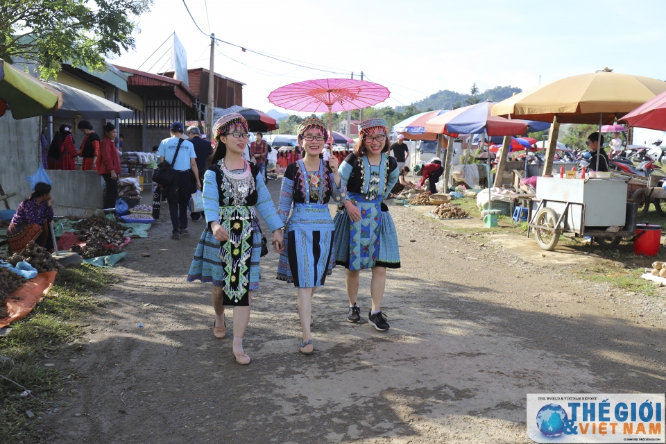 Đồi chè Trái tim Mộc Châu - đã đến là khó quên doi che trai tim moc chau da den la kho quen