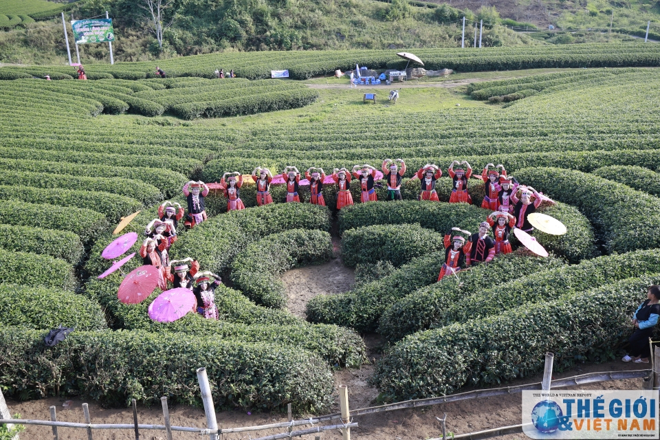 Đồi chè Trái tim Mộc Châu - đã đến là khó quên doi che trai tim moc chau da den la kho quen