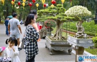 ha noi qua goc nhin du khach nuoc ngoai