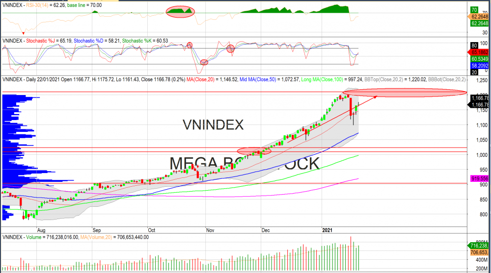 Thị trường chứng khoán ngày 22/1: Đồ thị VN-Index. (Nguồn: MegaBot)