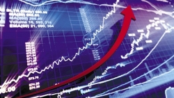 Nhận định thị trường chứng khoán ngày 6/1: Thời hoàng kim của chứng khoán?