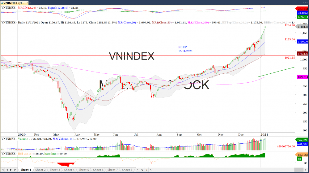 undefined Đồ thị VN-Index của thị trường chứng khoán hôm nay 11/01 (Nguồn MegaBot)