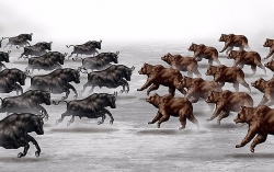 Thị trường chứng khoán ngày 14/1: Khi thị trường đi ngang và giằng co