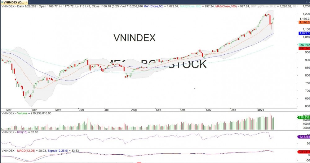 Đồ thị VN-Index của thị trường chứng khoán hôm nay 22/01 (Nguồn MegaBot)