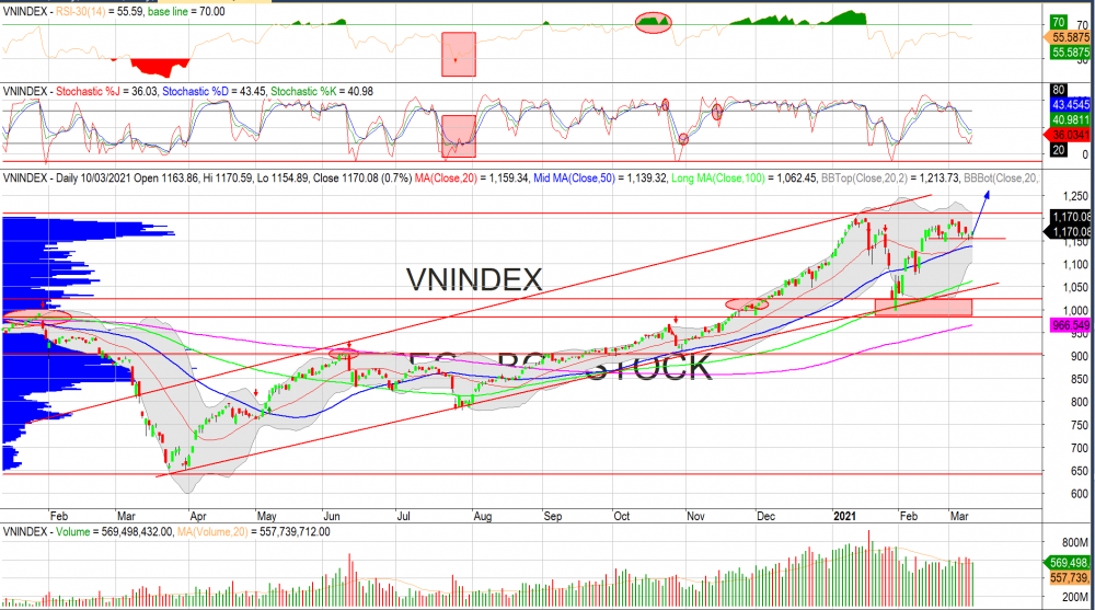 Thị trường chứng khoán ngày 10/03/2020: Đồ thị VN-Index. (Nguồn :MegaBot)