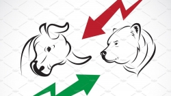 Thị trường chứng khoán ngày 12/3: Một ngày ảm đạm và phân hóa