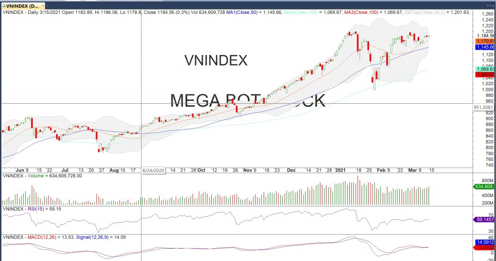 Thị trường chứng khoán ngày 15/3: Một ngày ảm đạm và phân hóa
