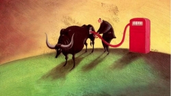 Thị trường chứng khoán ngày 15/3: Ngày ảm đạm và phân hóa