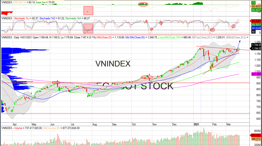 Thị trường chứng khoán ngày 22/03/2020: Đồ thị VN-Index. (Nguồn: MegaBot)
