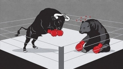 Thị trường chứng khoán ngày 5/5: Băng băng tiến về phía trước