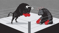 Thị trường chứng khoán ngày 19/5: Bứt tốc về cuối phiên, HPG và TCB tăng ấn tượng