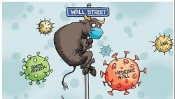 Thị trường chứng khoán ngày 24/5: Dòng tiền vào mạnh, VN-Index áp sát 1.300 điểm