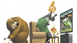 Thị trường chứng khoán ngày 14/6 - Thu hẹp đà tăng vào cuối phiên